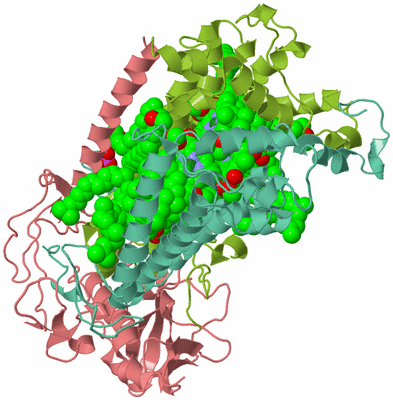 Image Asym./Biol. Unit