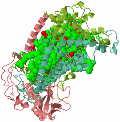 Image Asym./Biol. Unit - sites