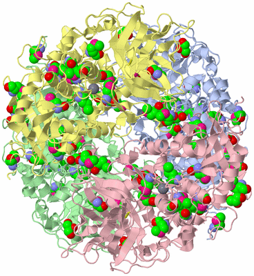 Image Asym./Biol. Unit