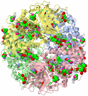 Image Asym./Biol. Unit - sites