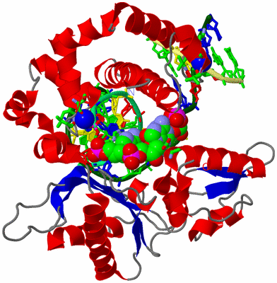 Image Asym./Biol. Unit - sites