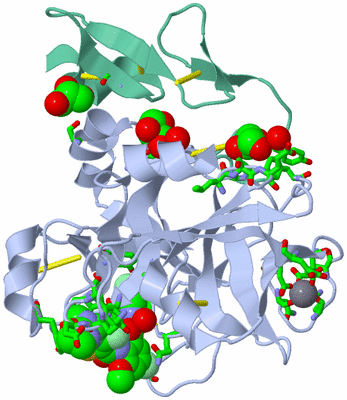 Image Asym./Biol. Unit - sites