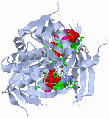 Image Biol. Unit 1 - sites