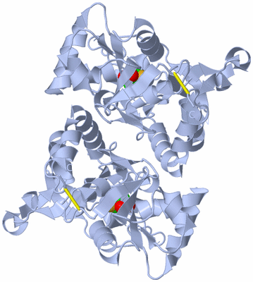 Image Biological Unit 1