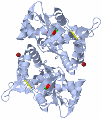 Image Biological Unit 1