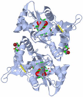 Image Biol. Unit 1 - sites