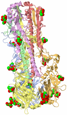 Image Biological Unit 1