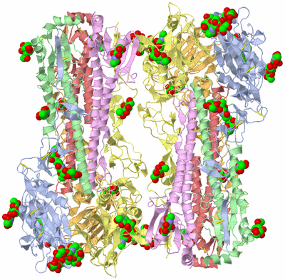 Image Biological Unit 2