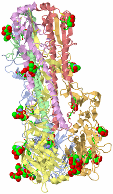 Image Asym. Unit - sites