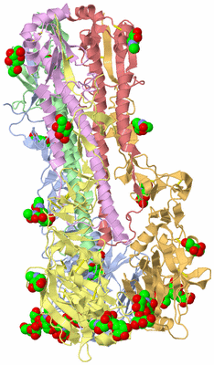 Image Biological Unit 1