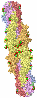 Image Biological Unit 2