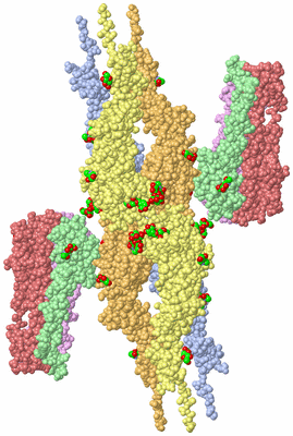 Image Biological Unit 3