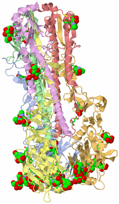 Image Asym. Unit - sites