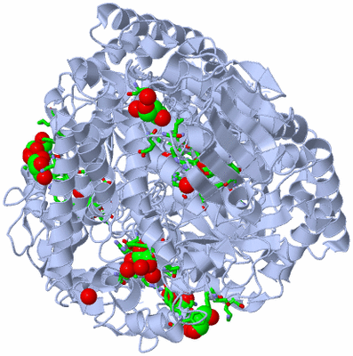 Image Biol. Unit 1 - sites