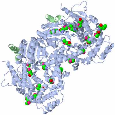 Image Biological Unit 2