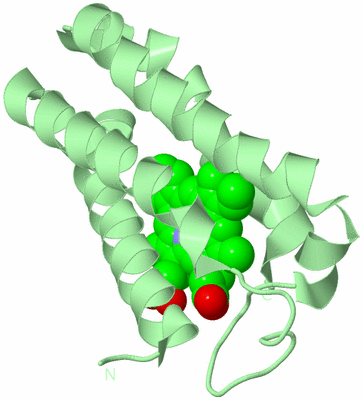 Image Biological Unit 2