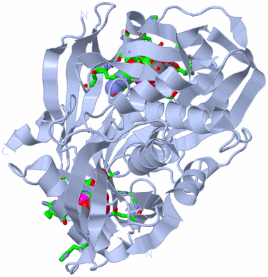 Image Biol. Unit 1 - sites