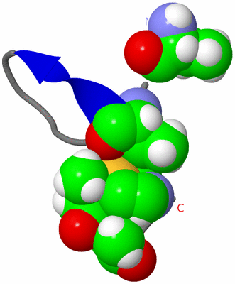 Image NMR Structure - model 1