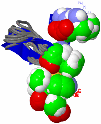 Image NMR Structure - all models