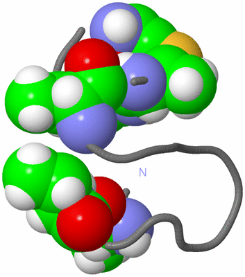 Image NMR Structure - model 1