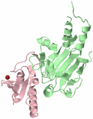 Image Biological Unit 2