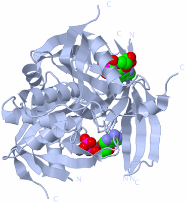 Image Biological Unit 1