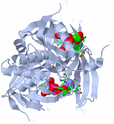 Image Biol. Unit 1 - sites