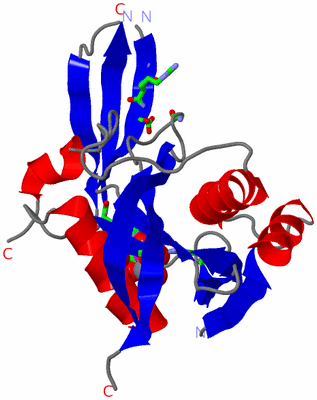 Image Asym. Unit - sites