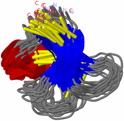 Image NMR Structure - all models