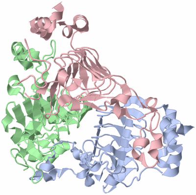 Image Biological Unit 1