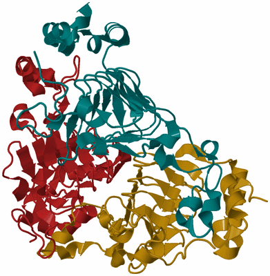 Image Biological Unit 2