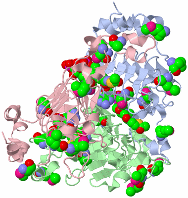 Image Biological Unit 1