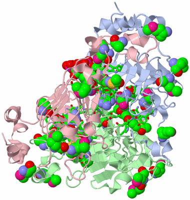 Image Biol. Unit 1 - sites