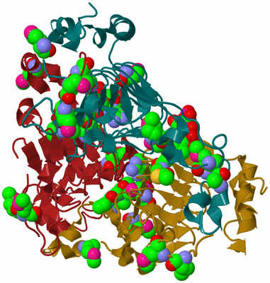 Image Biological Unit 2