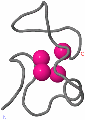 Image NMR Structure - model 1