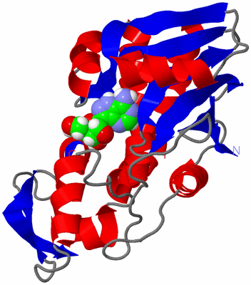 Image Asym./Biol. Unit