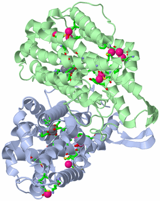 Image Asym./Biol. Unit - sites