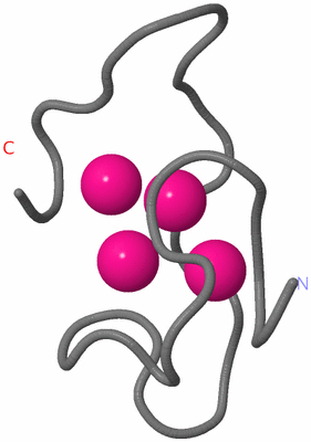 Image NMR Structure - model 1