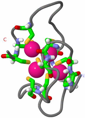 Image NMR Structure - model 1, sites