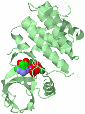 Image Biological Unit 2