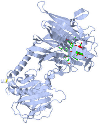 Image Biol. Unit 1 - sites