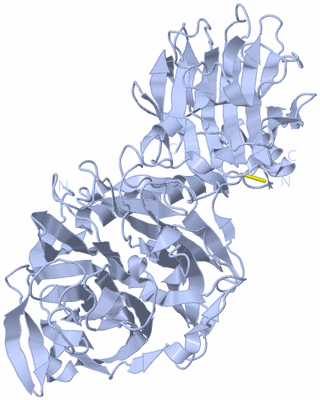 Image Biological Unit 1