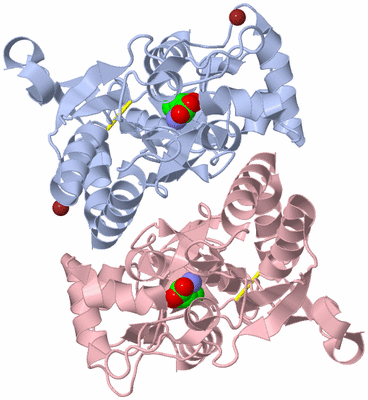 Image Biological Unit 1