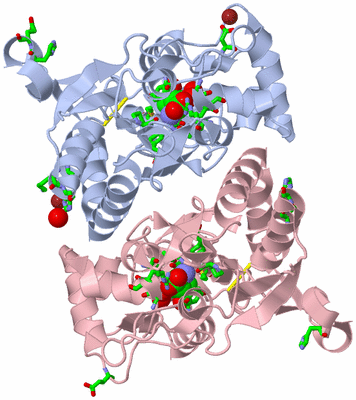 Image Biol. Unit 1 - sites