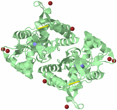 Image Biological Unit 2