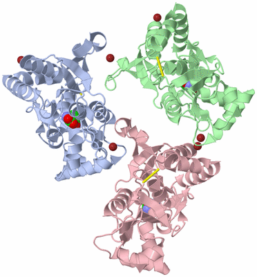 Image Biological Unit 3