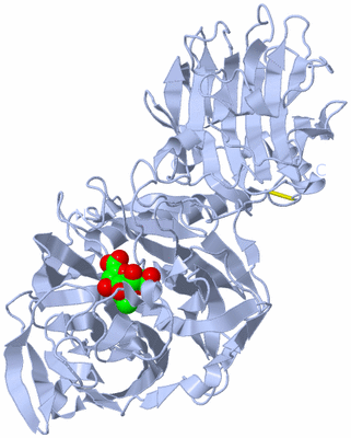 Image Biological Unit 1