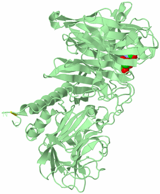 Image Biological Unit 2