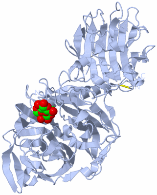 Image Biological Unit 1