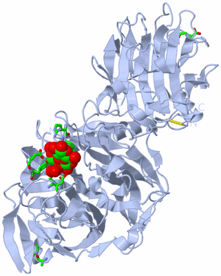 Image Biol. Unit 1 - sites